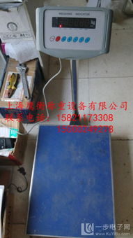 滨州地磅选购指南 金属结构制造与价格分析